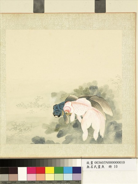 無名氏畫魚　冊　金魚十