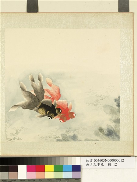 無名氏畫魚　冊　金魚十二