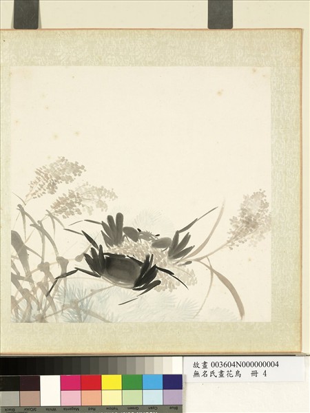 無名氏畫花鳥　冊　蘆葦