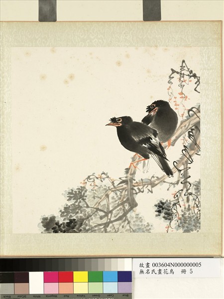 無名氏畫花鳥　冊　柏樹