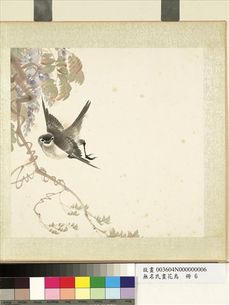 無名氏畫花鳥　冊　紫藤