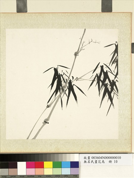無名氏畫花鳥　冊　蘭竹