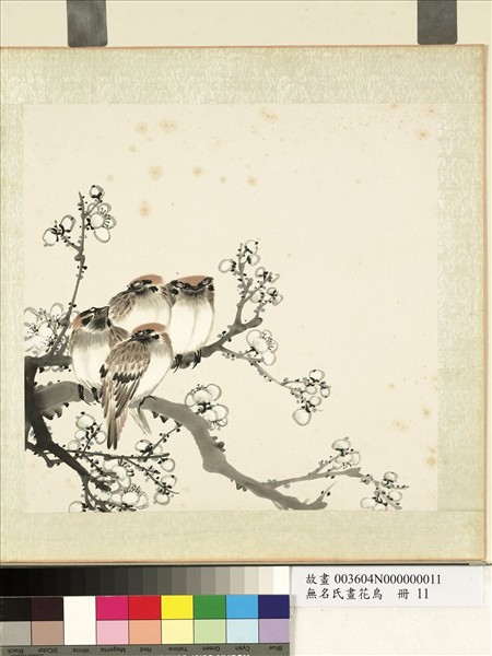 無名氏畫花鳥　冊　白梅