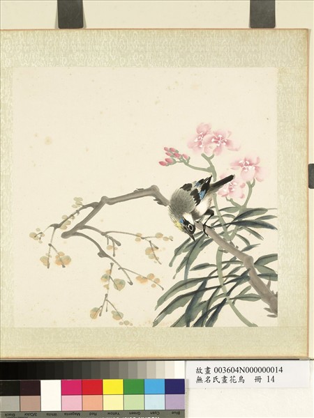 無名氏畫花鳥　冊　夾竹桃