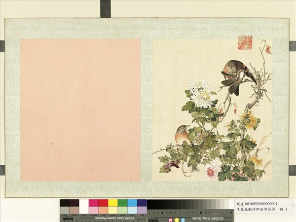 清屈兆麟仿郎世寧花卉　冊　菊花