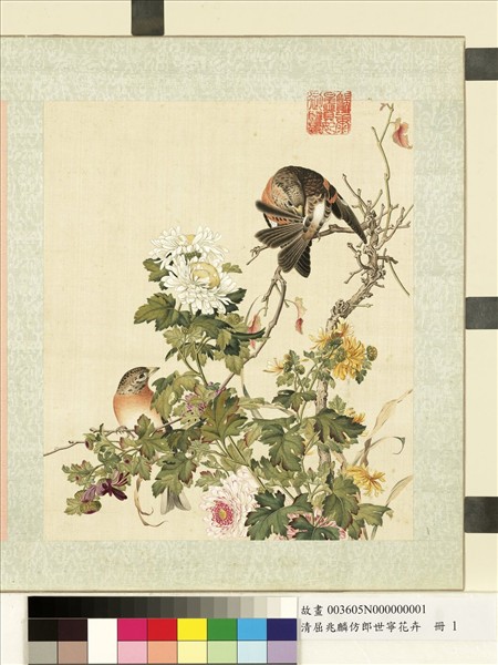 清屈兆麟仿郎世寧花卉　冊　菊花