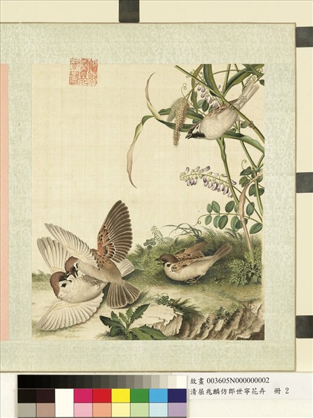 清屈兆麟仿郎世寧花卉　冊　麻雀稷穗