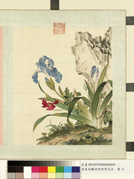 清屈兆麟仿郎世寧花卉　冊　鳶尾虞美人