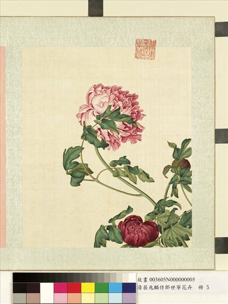 清屈兆麟仿郎世寧花卉　冊　牡丹