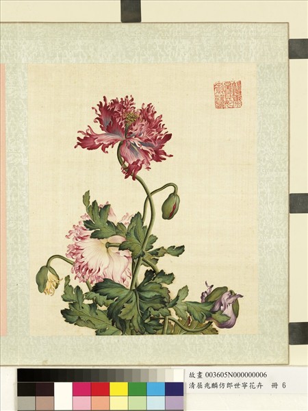 清屈兆麟仿郎世寧花卉　冊　罌粟