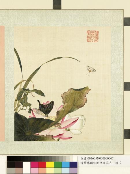 清屈兆麟仿郎世寧花卉　冊　荷花蝴蝶