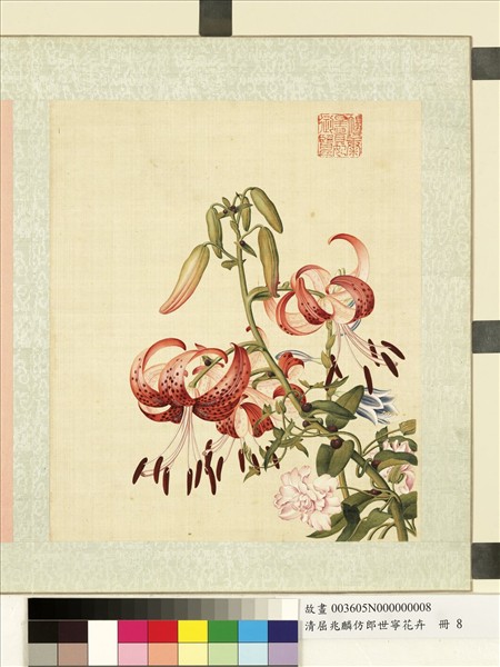 清屈兆麟仿郎世寧花卉　冊　姬百合纏枝牡丹