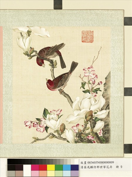 清屈兆麟仿郎世寧花卉　冊　辛夷海棠酒紅朱雀