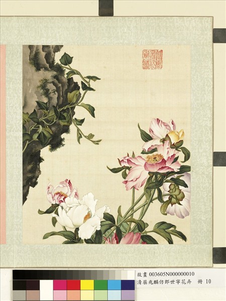 清屈兆麟仿郎世寧花卉　冊　芍藥