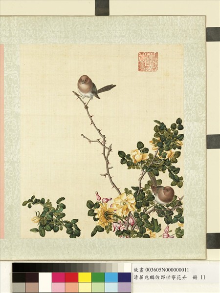 清屈兆麟仿郎世寧花卉　冊　粉紅鸚嘴月季花