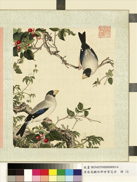 清屈兆麟仿郎世寧花卉　冊　櫻桃桑鳲