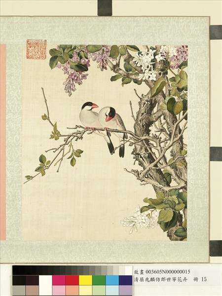 清屈兆麟仿郎世寧花卉　冊　丁香爪哇雀