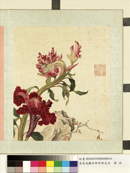 清屈兆麟仿郎世寧花卉　冊　雞冠花