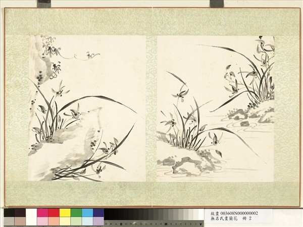 無名氏畫蘭花　冊　蘭花（四）