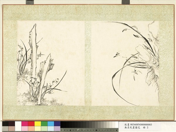 無名氏畫蘭花　冊　蘭花（六）