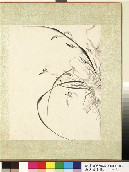 無名氏畫蘭花　冊　蘭花（六）