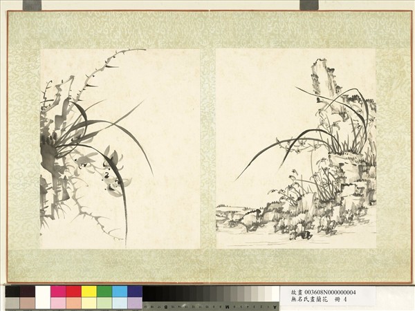 無名氏畫蘭花　冊　蘭花（八）