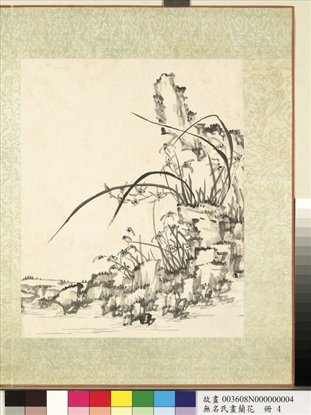 無名氏畫蘭花　冊　蘭花（八）