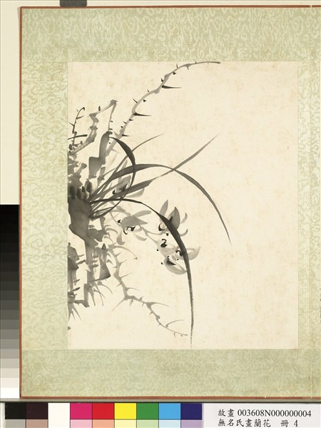 無名氏畫蘭花　冊　蘭花（八）