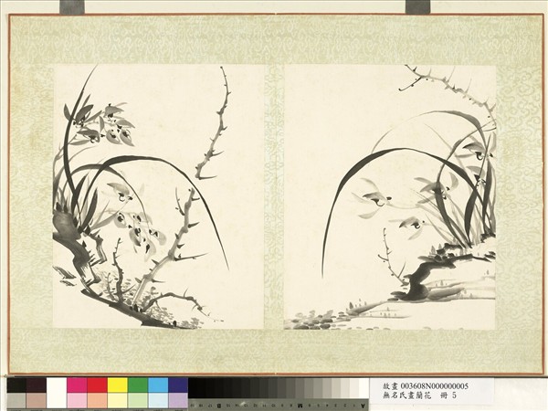 無名氏畫蘭花　冊　蘭花（十）