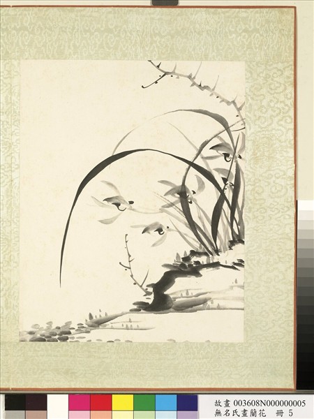 無名氏畫蘭花　冊　蘭花（十）