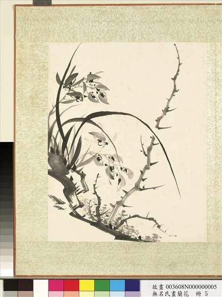 無名氏畫蘭花　冊　蘭花（十）