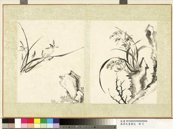 無名氏畫蘭花　冊　蘭花（十一）