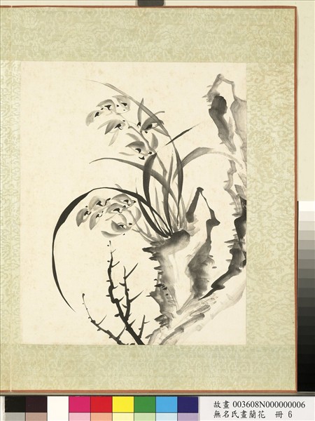 無名氏畫蘭花　冊　蘭花（十一）