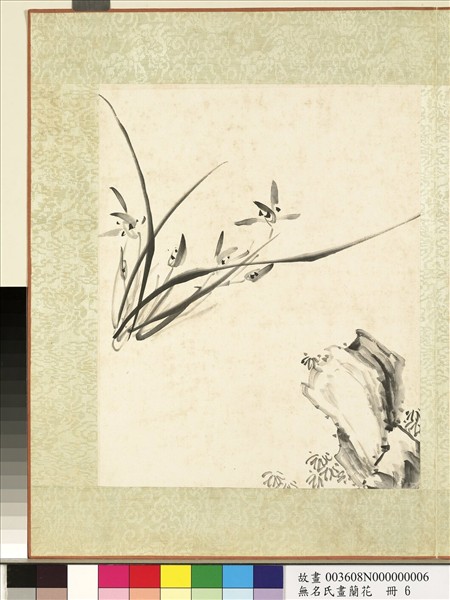 無名氏畫蘭花　冊　蘭花（十一）