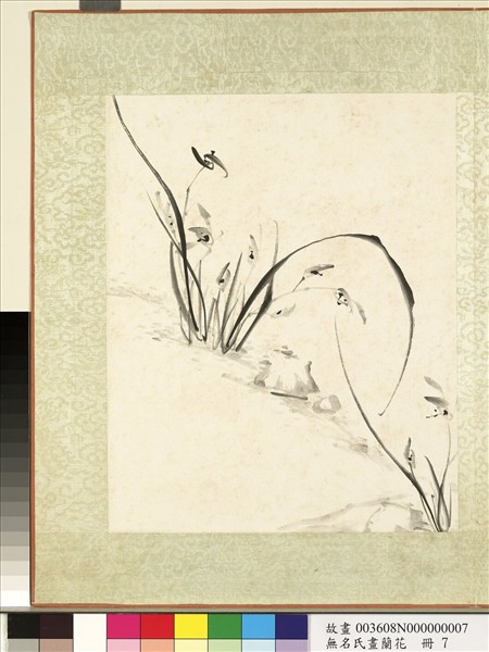 無名氏畫蘭花　冊　蘭花（十四）