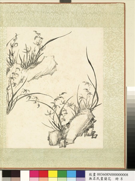 無名氏畫蘭花　冊　蘭花（十六）