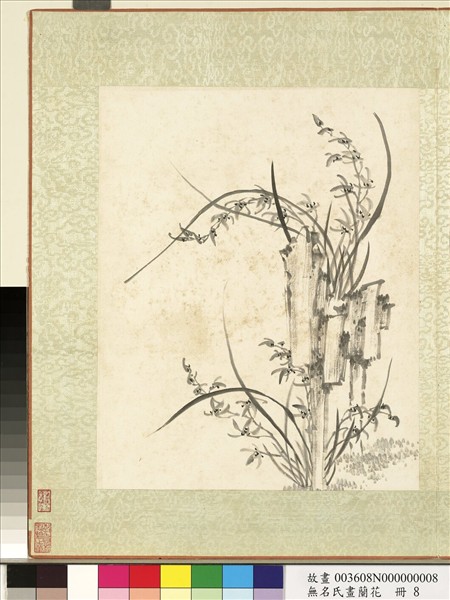 無名氏畫蘭花　冊　蘭花（十六）