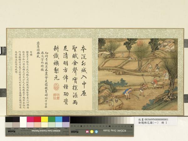 御題棉花圖（一）　冊　布種