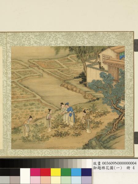 御題棉花圖（一）　冊　摘尖