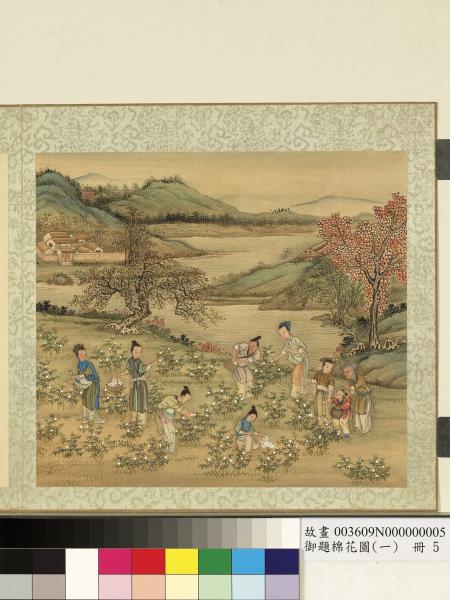 御題棉花圖（一）　冊　採棉