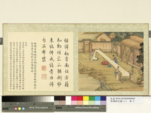 御題棉花圖（二）　冊　布漿