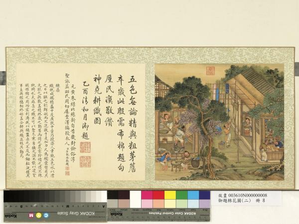 御題棉花圖（二）　冊　練染