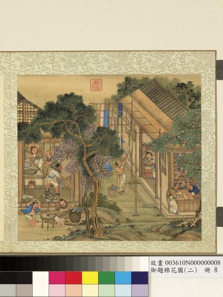 御題棉花圖（二）　冊　練染