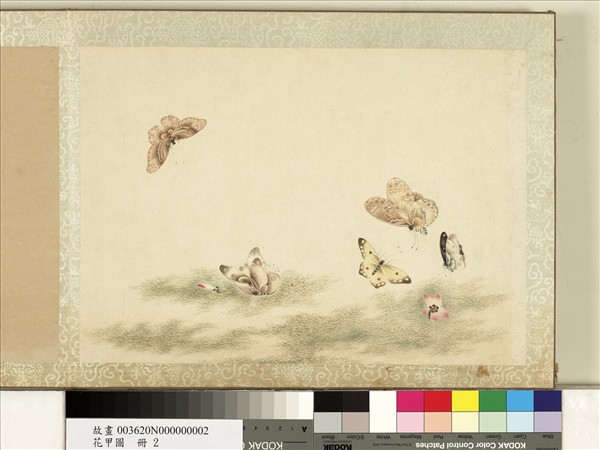 花甲圖　冊　蝴蝶（二）
