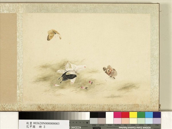 花甲圖　冊　蝴蝶（三）
