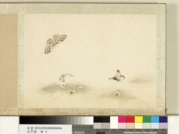 花甲圖　冊　蝴蝶（四）