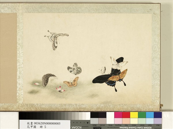 花甲圖　冊　蝴蝶（五）