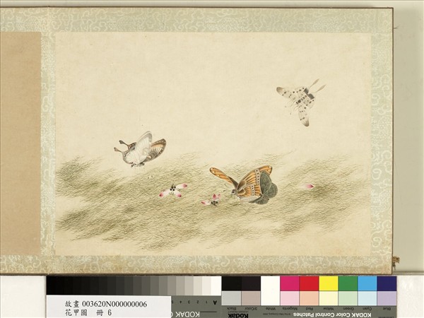 花甲圖　冊　蝴蝶（六）