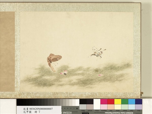 花甲圖　冊　蝴蝶（七）