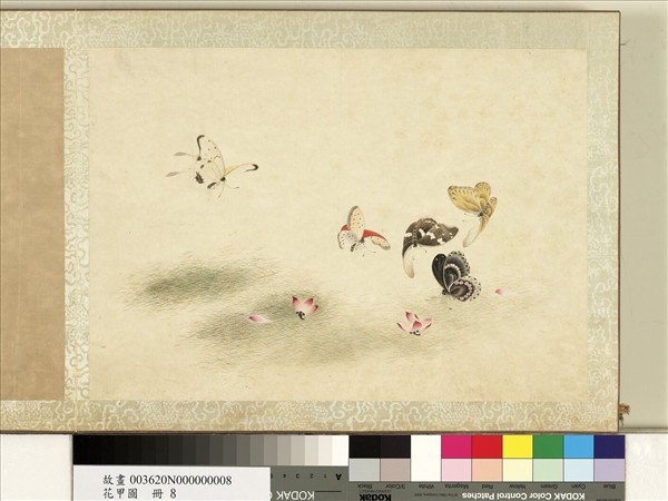 花甲圖　冊　蝴蝶（八）